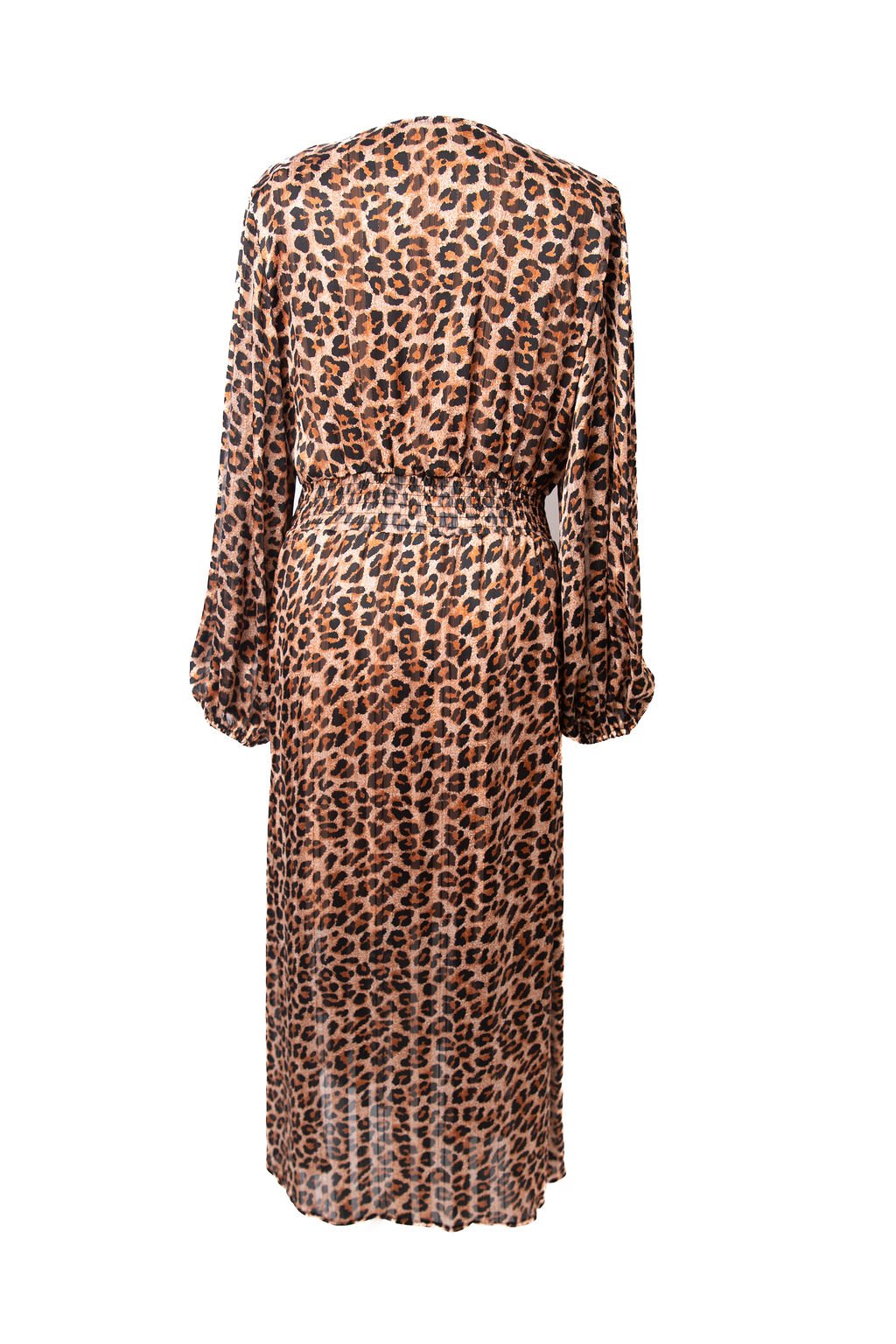 Barbara Leopard - Image 8